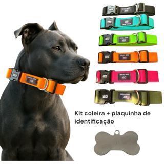coleira para cachorro + plaquinha de identificação pet ajustável e regulável com fecho resistente em Oferta na Shopee