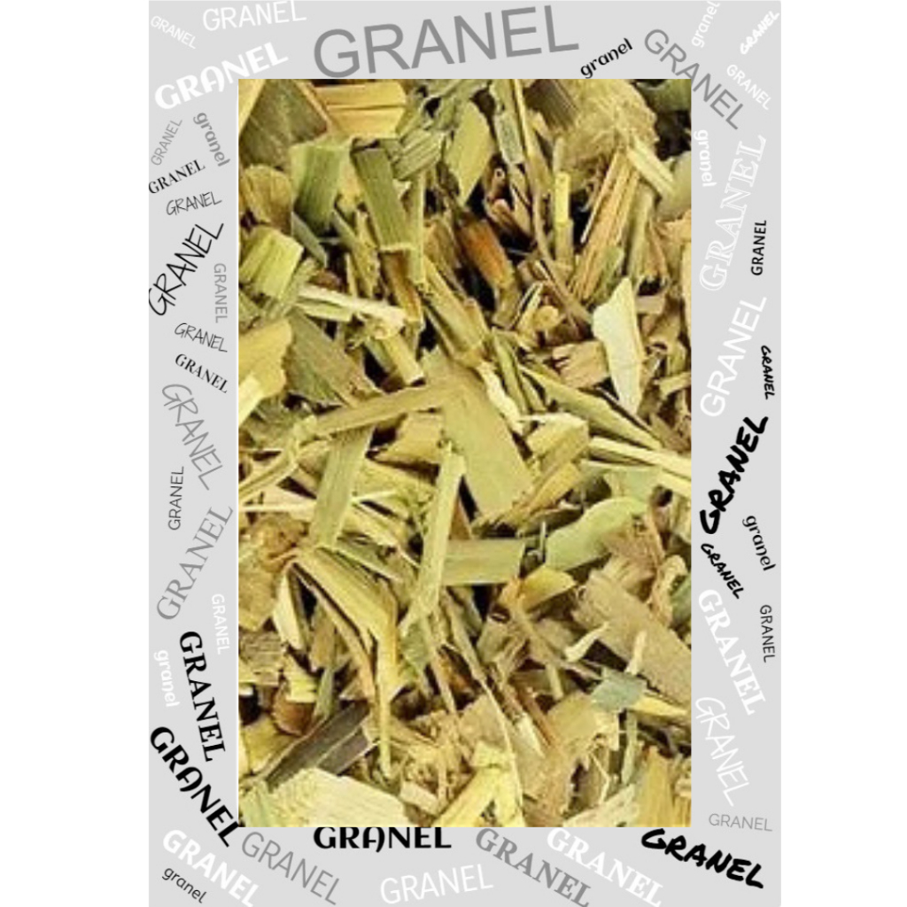 Cana Do Brejo 1kg - Safra Nova SELECIONADA  ALTA QUALIDADE em Oferta na Shopee