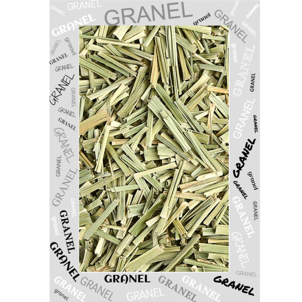 Capim Limão 1kg Selecionada Capim Cidreira - Capim Santo em Oferta na Shopee