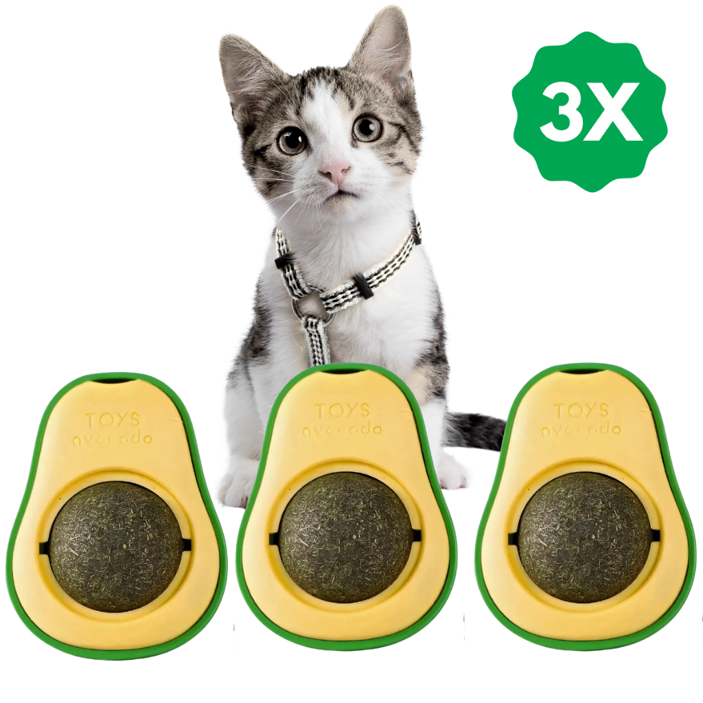 Kit 3 Abacate Brinquedo Para Gato Com Bola Catnip Removível