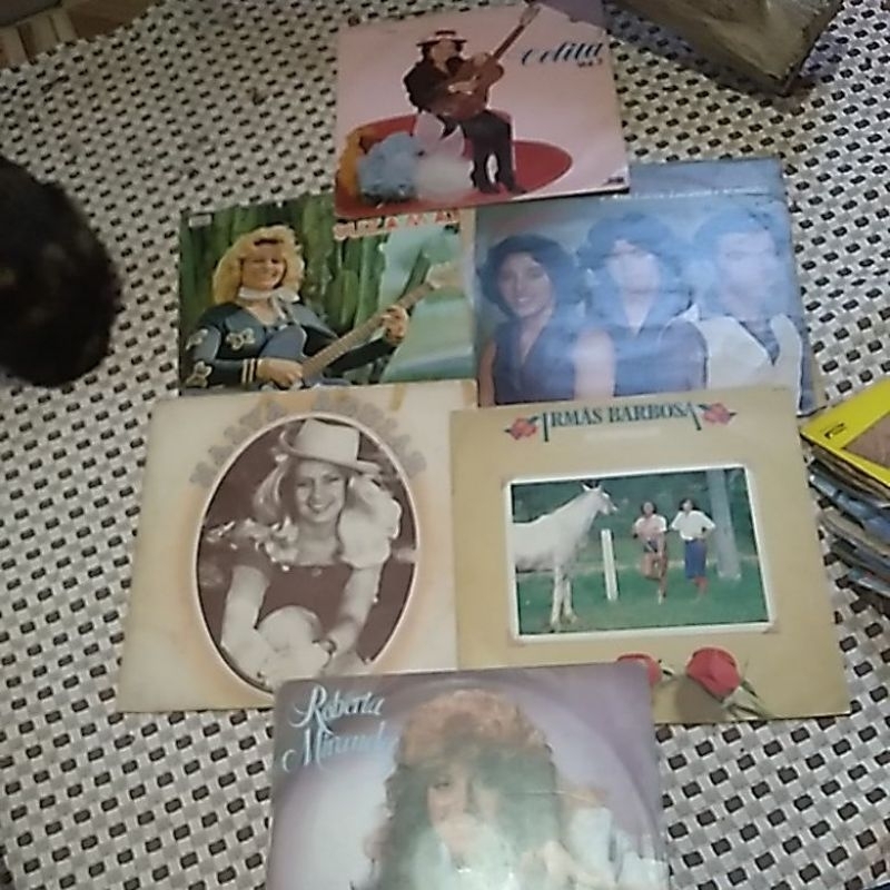 Disco vinil  Sertanejo mulheres coleção com 5 lps