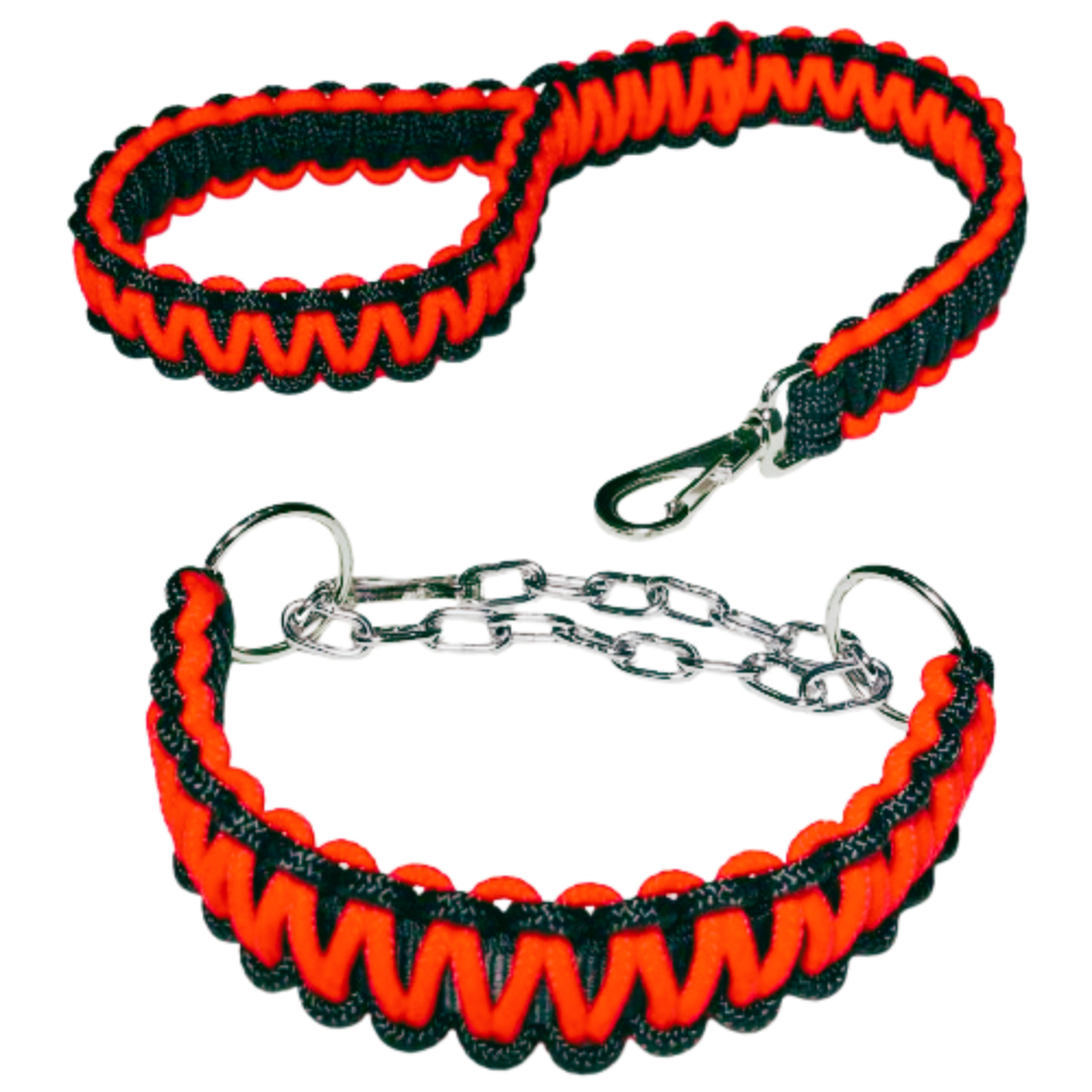 Coleira e Guia para cachorros Grandes e médios. Enforcador trançado reforçado Pitbull e outros. em Oferta na Shopee