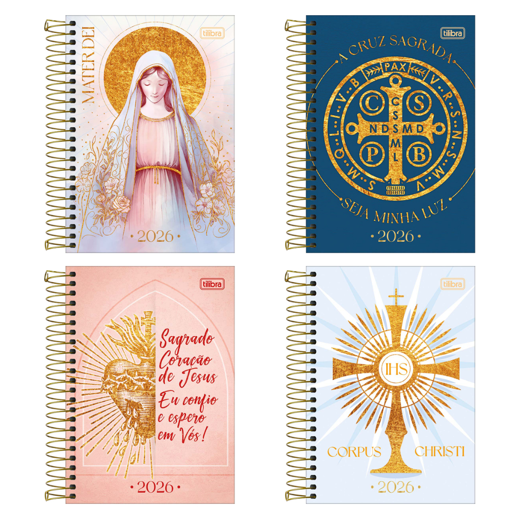 Bíblia Diaria: Guia Completo e Onde Comprar | BuscaProdutos