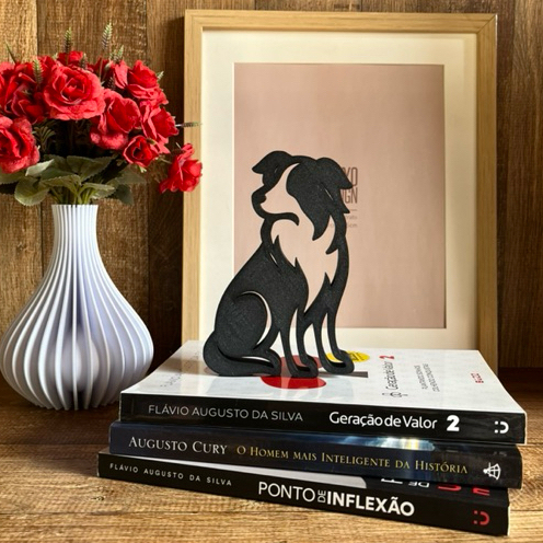 Border Collies: Guia Completo e Onde Comprar | BuscaProdutos