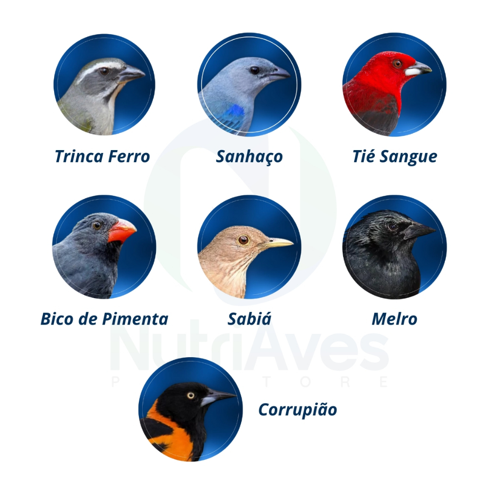 Ração 300g Extrusada Trinca Ferro Natural Super Premium Nutribiótica Pássaro Sabiá Corrupião