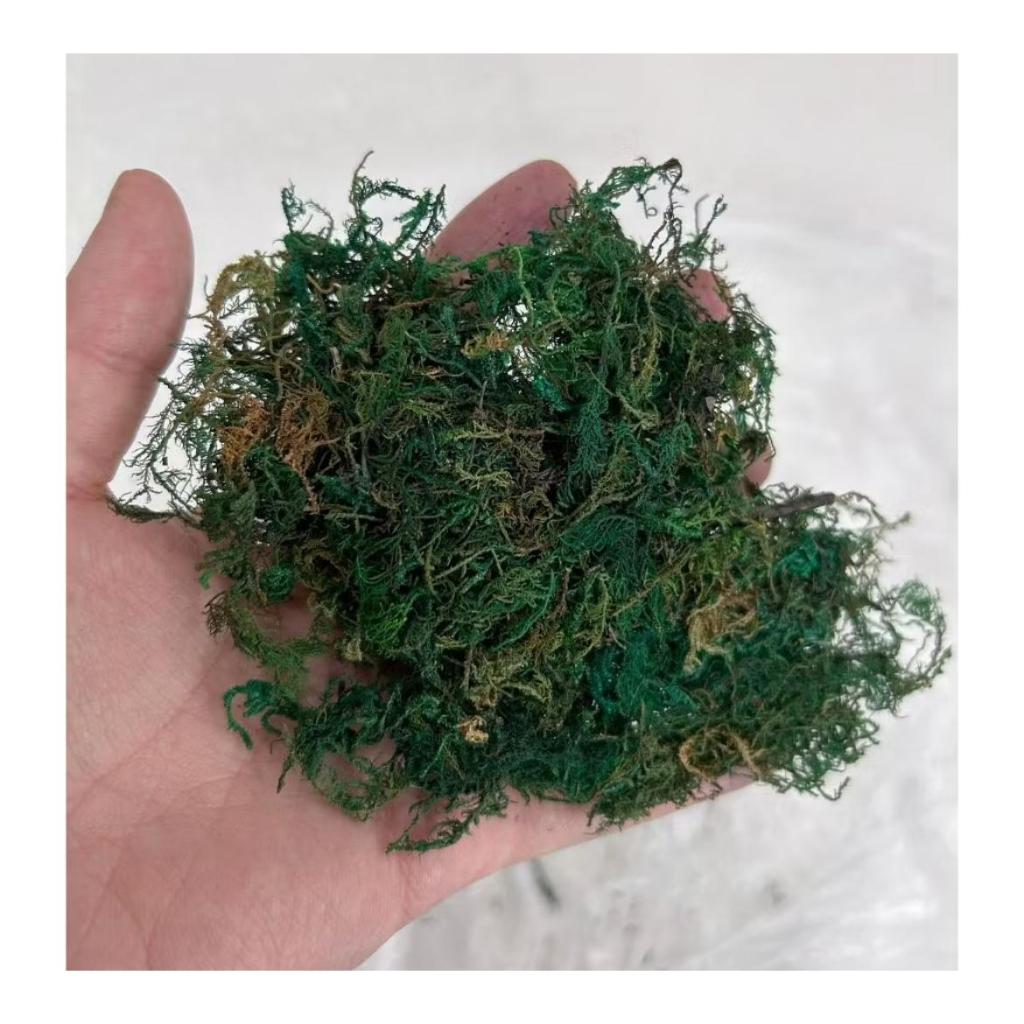 Musgo Verde Escuro Para Preencher Seu Presepio Mais Lindo Wincy Decoração Natalino 24g