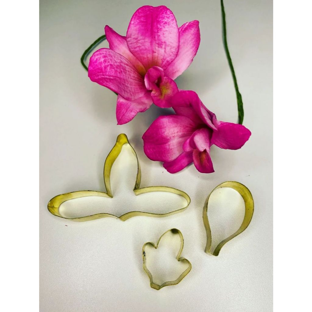 Kit cortador orquídea denphal grande