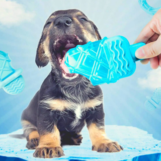 Mordedor Brinquedo Pet Cães Cachorro Sorvete Gelado Refresca em Oferta na Shopee