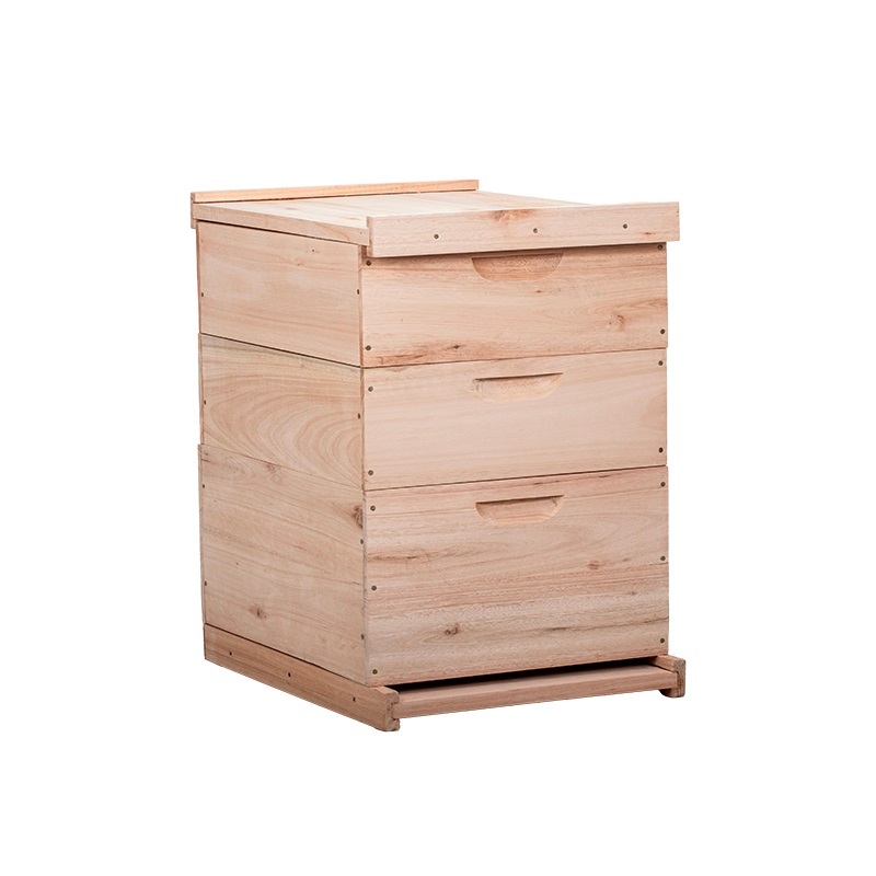 Caixa Abelhas Langstroth Eucalipto 2 melgueiras sem arame