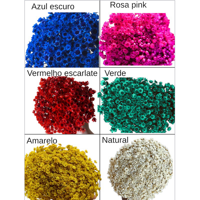 Azul Escarlate: Guia Completo e Onde Comprar | BuscaProdutos