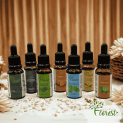 Kit Óleo Essencial Florest Brasil