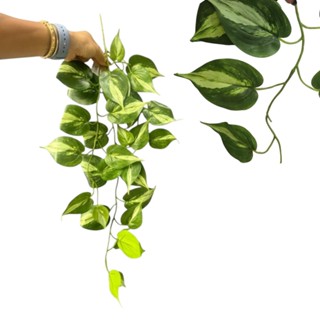 Pendente Folhagem Jiboia Perfeira Planta artificial para Decoração em Oferta na Shopee