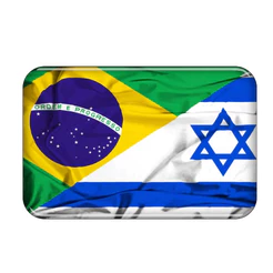 Adesivo Resinado Automotivo Alto Relevo Bandeira do Brasil e Israel 9x6cm Resina PREMIUM 3D
