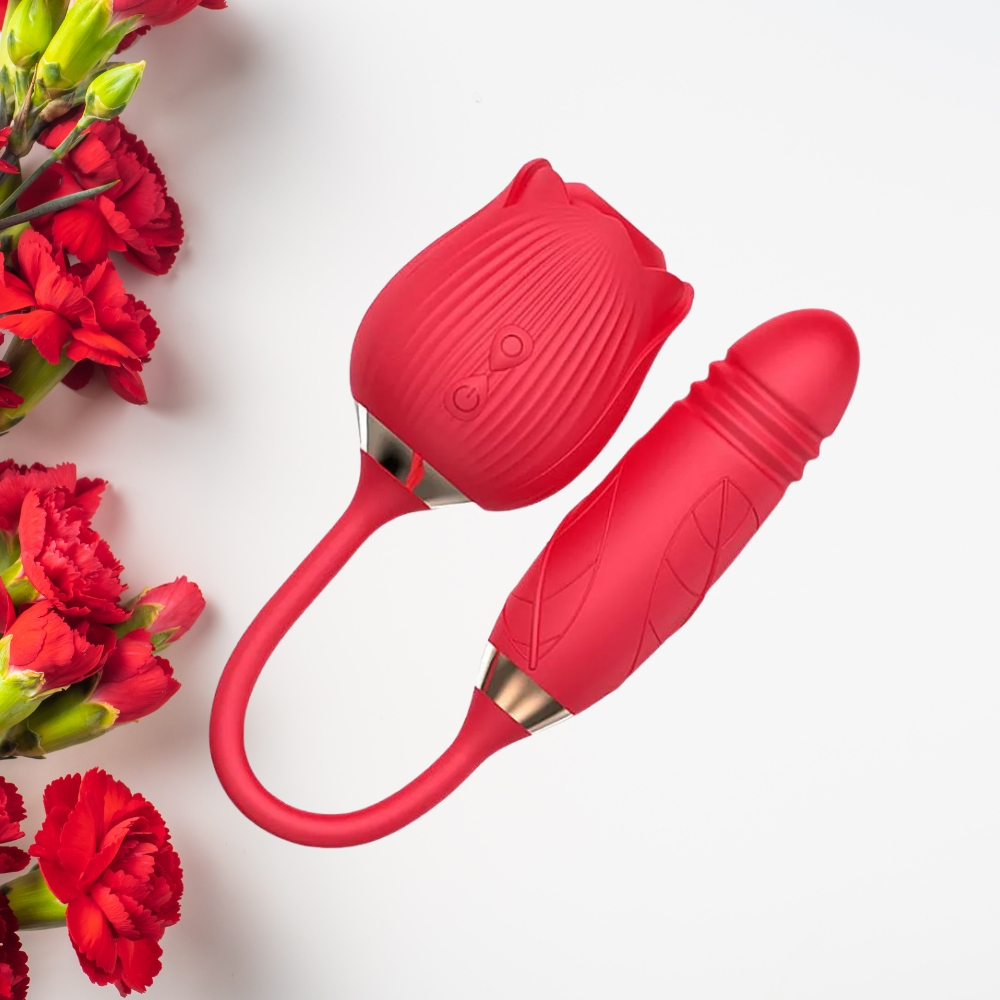 Sugador Íntimo: Guia Completo e Onde Comprar | BuscaProdutos