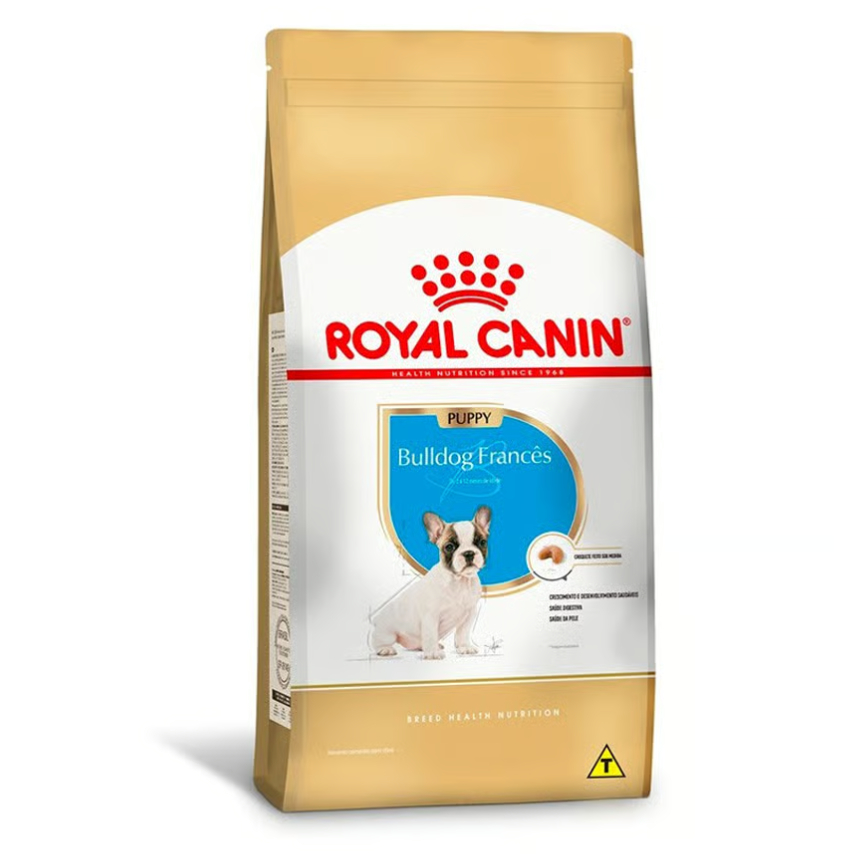 Filhote Bulldog Frances: Onde Comprar | BuscaProdutos