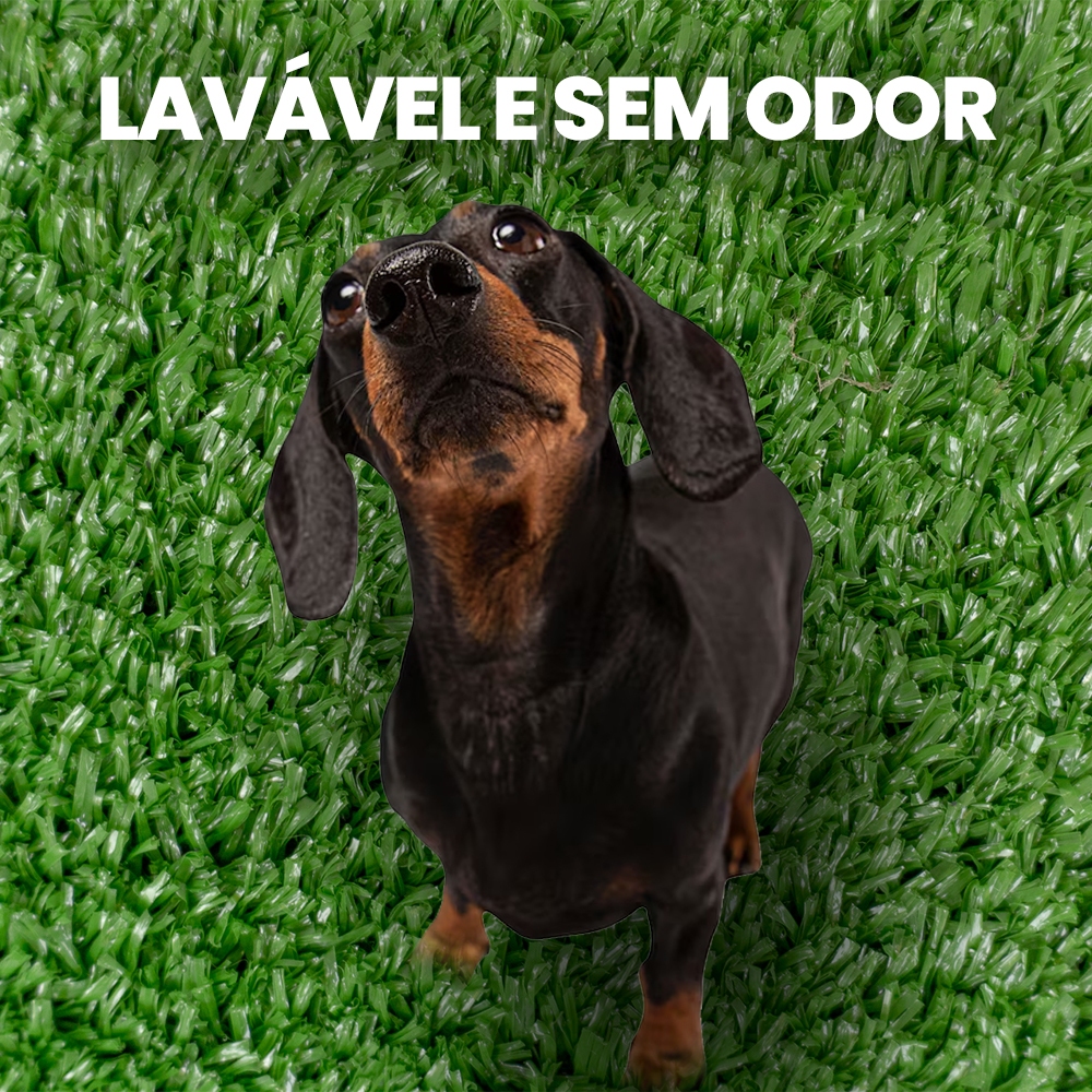 O que é Tapete para Área Interna? Guia e Onde Comprar | BuscaProdutos