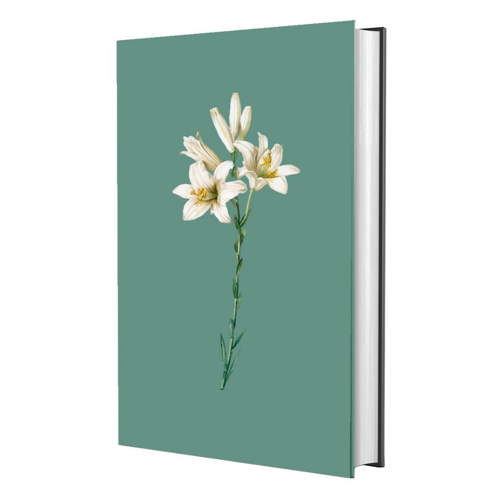 Bíblia Sagrada NVI - Lírio Turquesa - Capa Dura - Letra Média em Oferta na Shopee