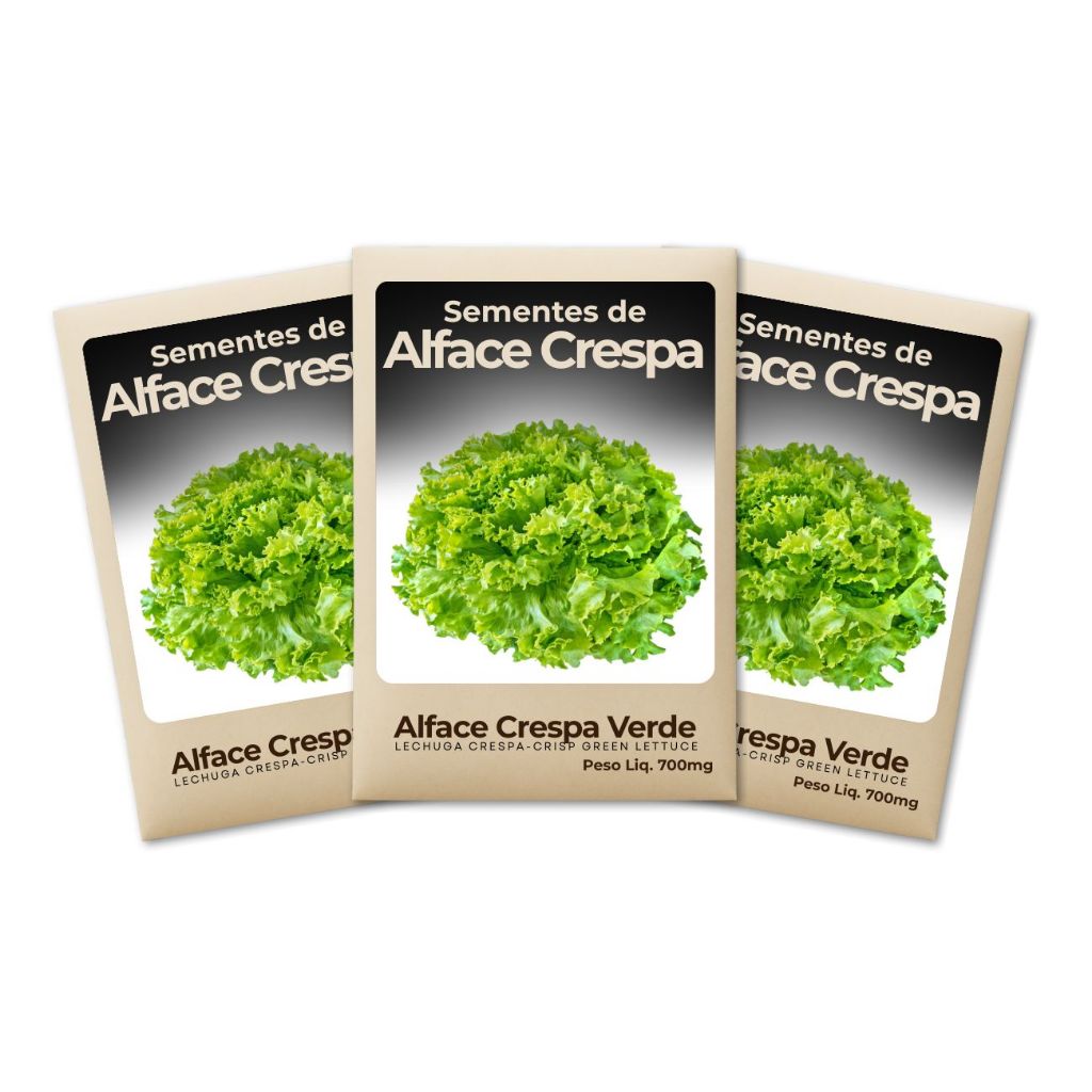 Sementes Alface Crespa Verde Plantio Simples Alta Produtividade Hortas Verticais Urbanas Saudáveis-Kit 3un