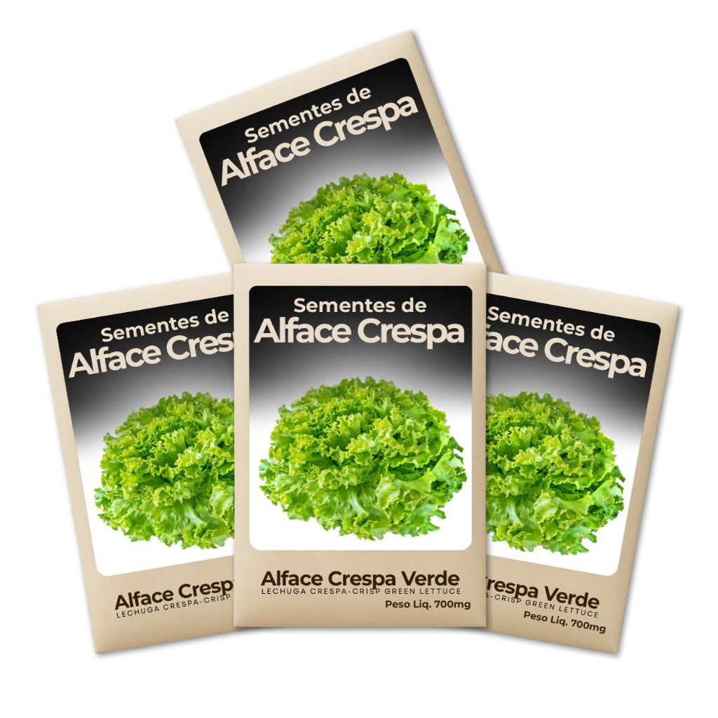 Semente de Alface Crespa Verde Hortas Urbanas Produção Garantida Alta Germinação Cultivo Simples-Kit 4un