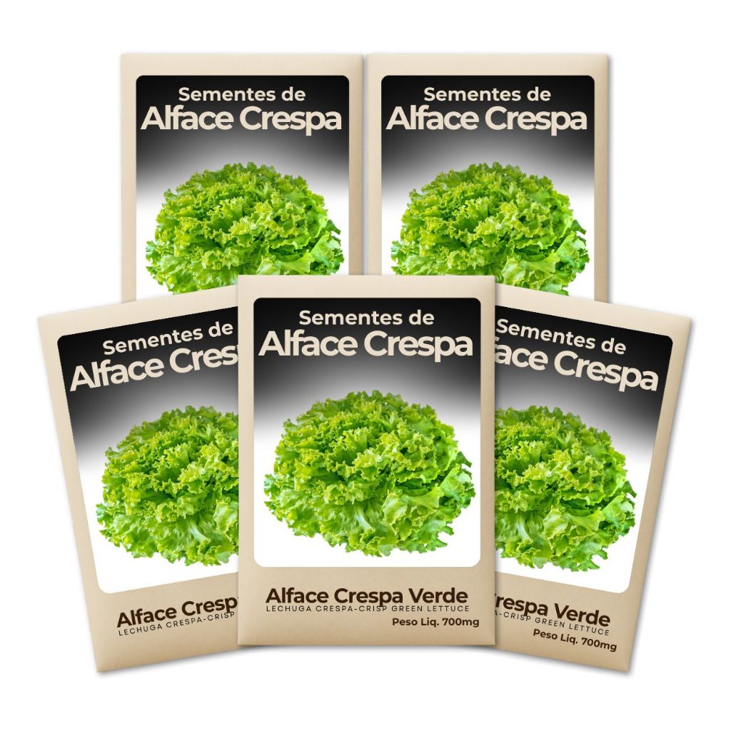 Semente de Alface Verde Crespa Hortas Urbanas Crescimento Constante Produção Garantida-Kit 5 Pct