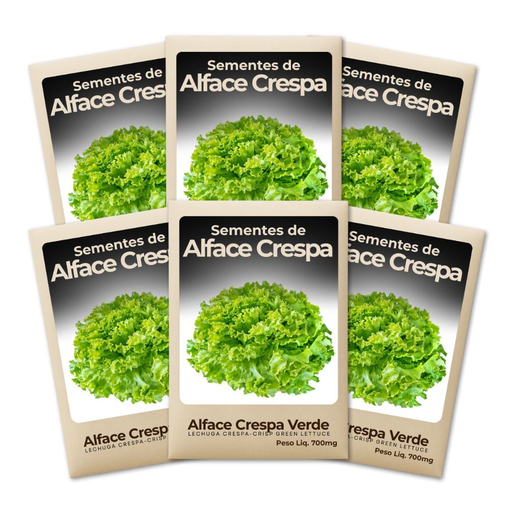 Sementes Alface Crespa Verde Hortas Urbanas Cultivo Fácil Produção Constante Alta Qualidade-Leve 6un
