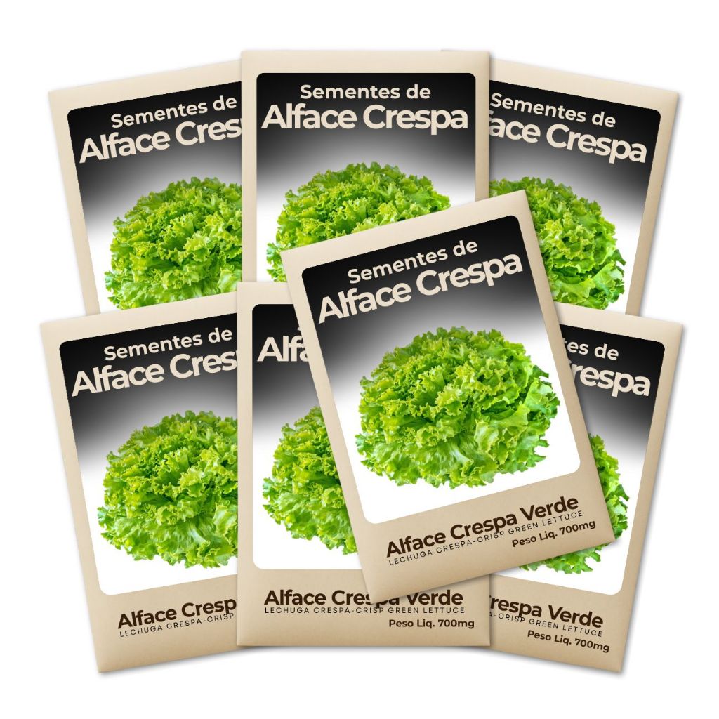 Semente de Alface Verde Crespa Hortas Urbanas Alta Germinação Cultivo Garantido Produção-Leve 7un