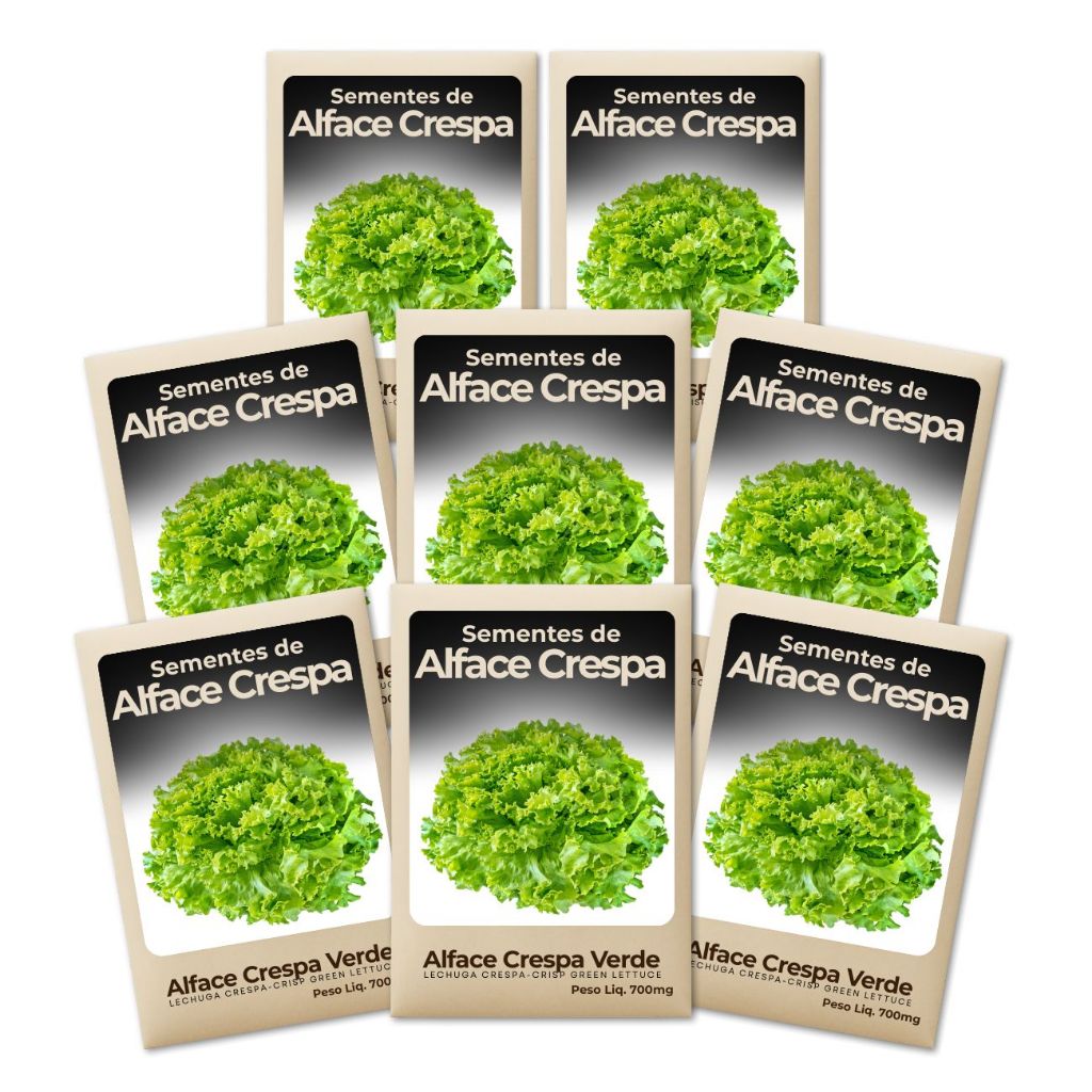 Sementes Alface Crespa Verde Cultivo Simples Ideal Horta Caseira Urbana Folhas Crocantes-Combo 8un