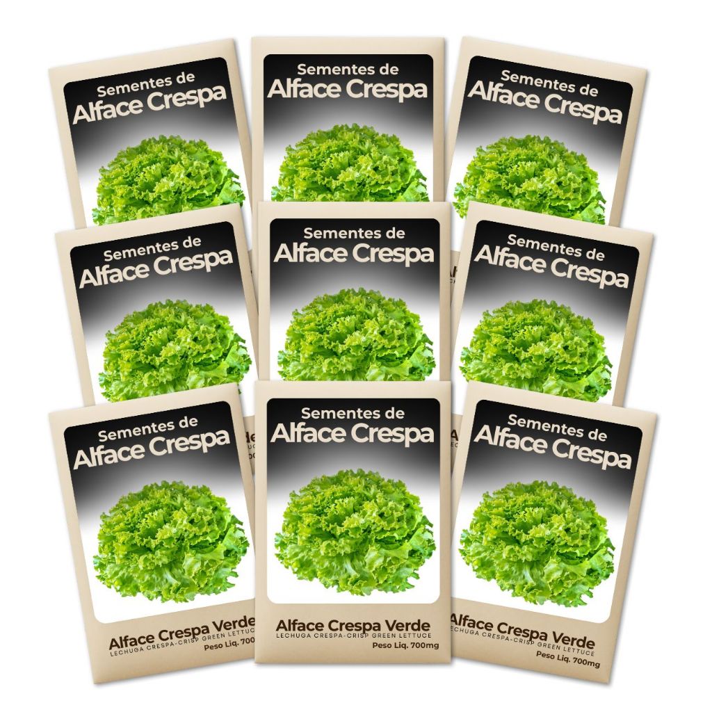 Sementes Alface Crespa Verde Hortas Urbanas Cultivo Fácil Alta Produtividade Saudável-Kit 9un