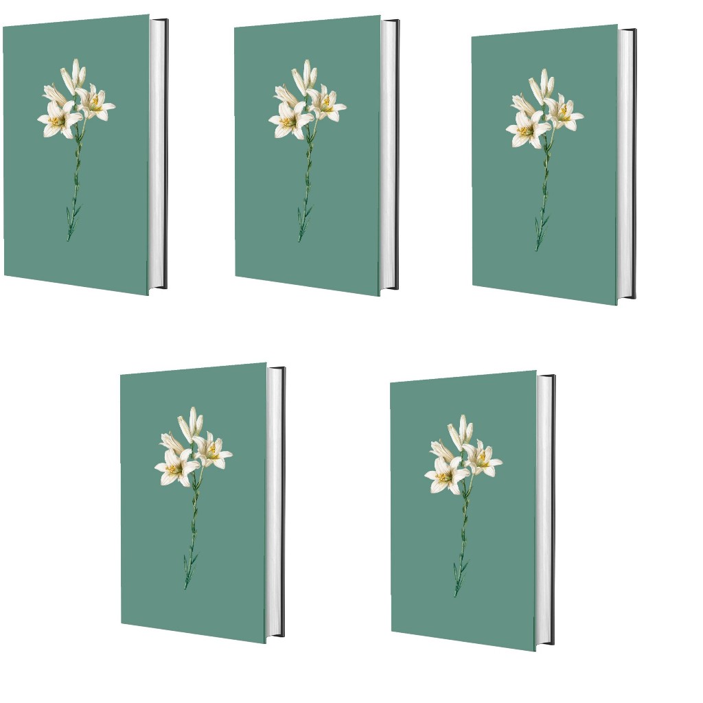 Kit Bíblia Sagrada NVI | Lírio Turquesa | Capa Dura | 5 Unidades em Oferta na Shopee