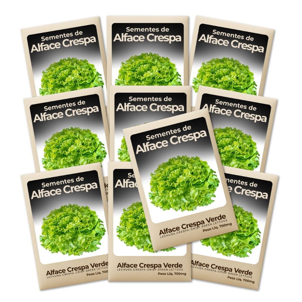 Semente de Alface Verde Crespa Cultivo Fácil Hortas Urbanas Alta Germinação Rendimento-Kit 10 Pct