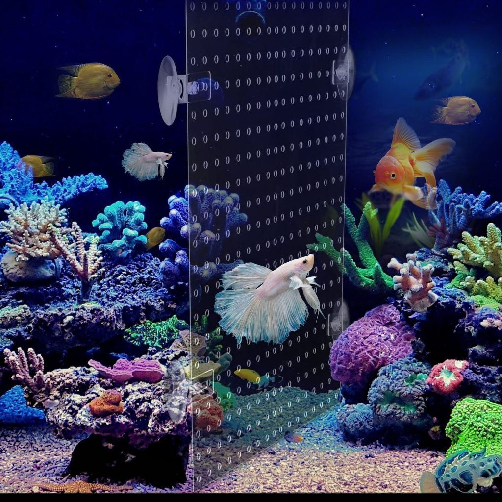 Colmeia Acrilica Acrilico Transparente Plastica 48x37cm Divisoria P/ Aquario divisorias