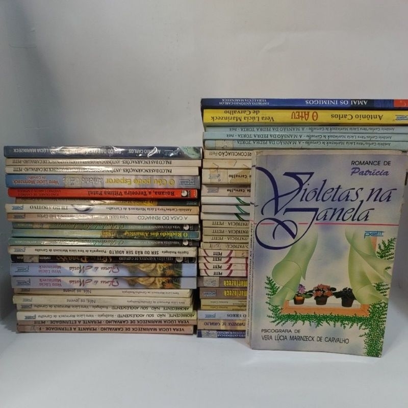 Livros romance espirita Vera Lucia Marinzeck de Carvalho Violetas na janela o vôo da gaivota