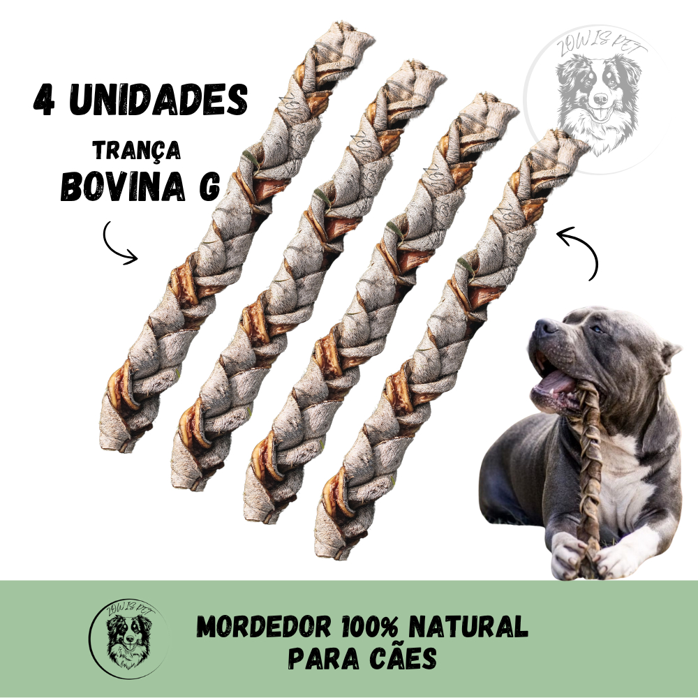 O que é Mordedor 4 Dogs G? Guia e Onde Comprar | BuscaProdutos