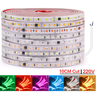 10 15 20 25 30Metros Fita Mangueira Led 5050   Dupla face  120led Branco Frio Branco Quente110v/220v