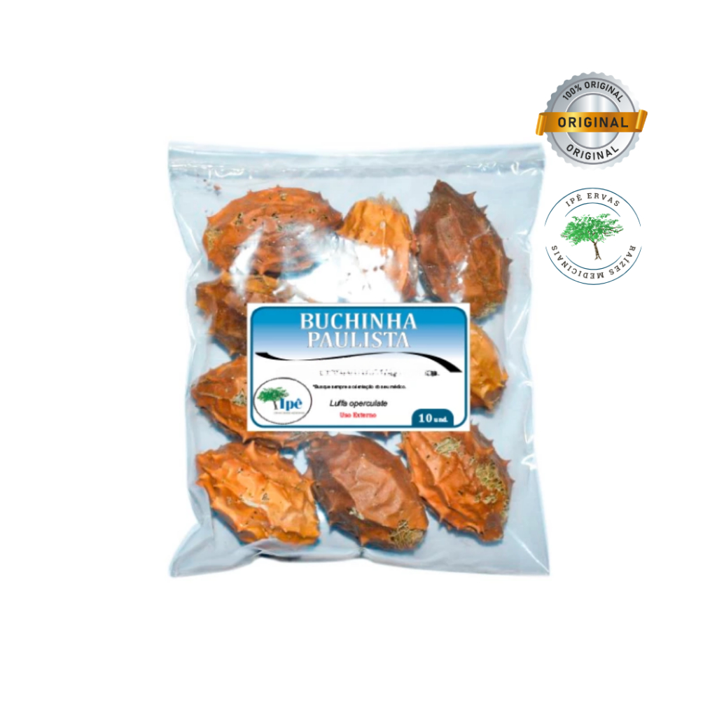 Buchinha do Norte Pacote 10 unidades em Oferta na Shopee