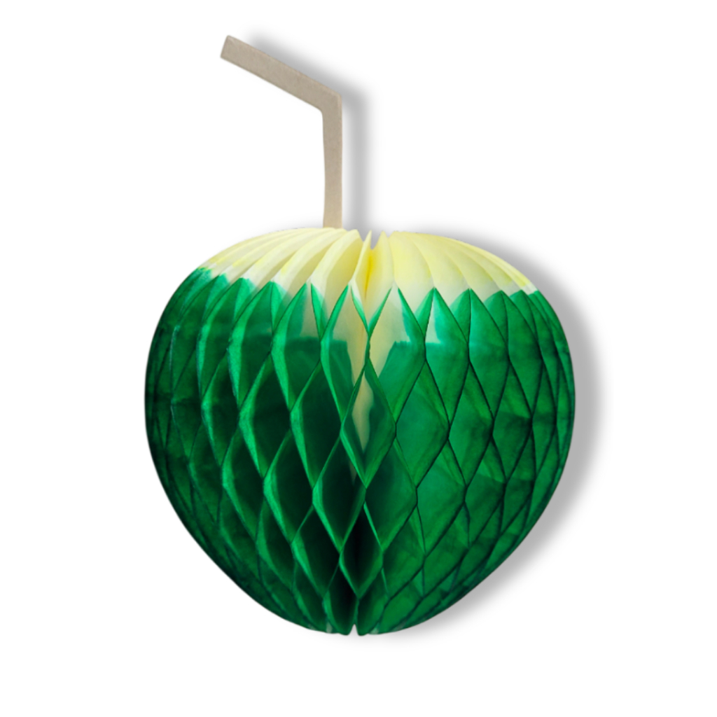 Coco da Bahia De Papel Seda Para Decoração Festa Temáticas Tropical