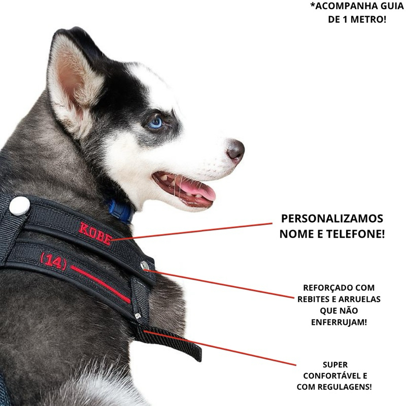 Pastor Alemão: Guia Completo e Onde Comprar | BuscaProdutos