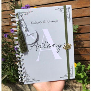 Caderneta de Saúde Infantil Personalizada A5 | SUS Atualizado | Capa Dura | Clean Verde em Oferta na Shopee