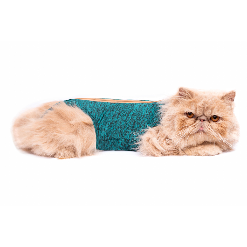 Roupa Pós Cirúrgica Castração Gatos –  TAMANHOS 00 AO 5