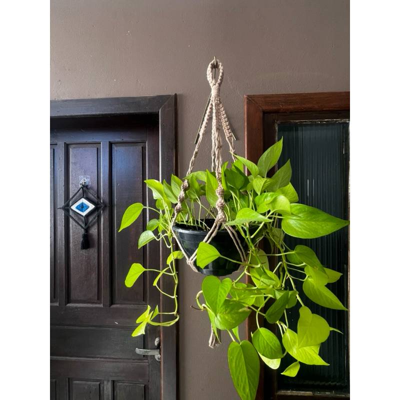 Suporte para Plantas em Macramê 70cm | Feito à Mão | Suporte para Vaso Suspenso | Decoração Boho