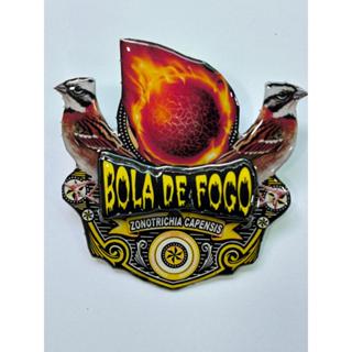 PLACA DE TICO TICO PERSONALIZADA EM 3D COM O NOME DO PÁSSARO em Oferta na Shopee