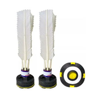 Kit 2 Peteca Oficial Super Profissional Refletiva Noturna em Oferta na Shopee