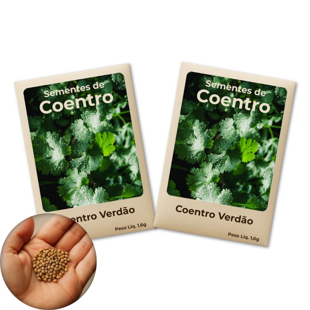 Sementes de Coentro Verdão 1,6g Alta Germinação, Pureza e Procedência Garantida - Leve 2 Pct