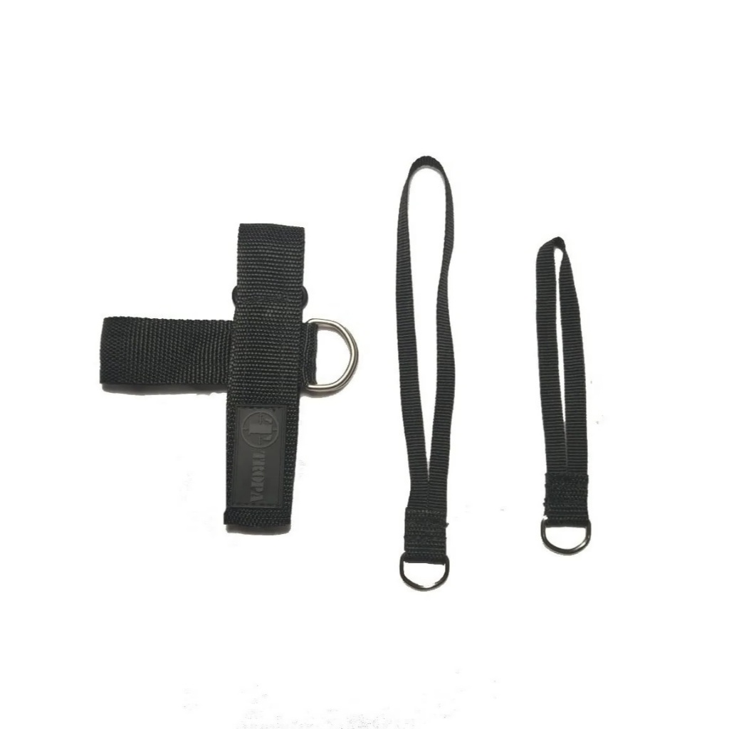 Coronha de Espingarda: Onde Comprar | BuscaProdutos