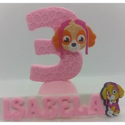 Vela de Aniversário Skye Patrulha Canina em Rosa com Nome + Pavio Mágico
