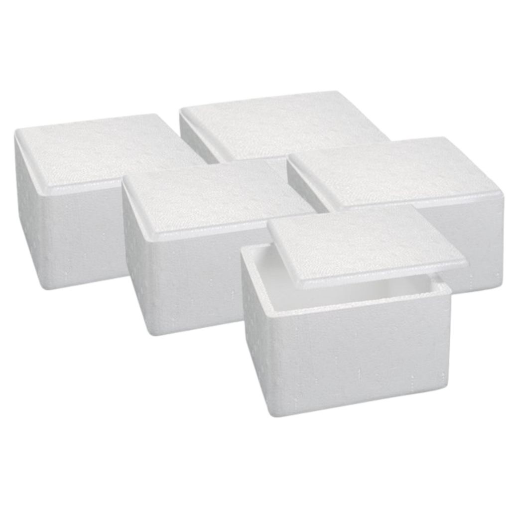 Kit Caixas de isopor termica pequena 250g medicamento insulina