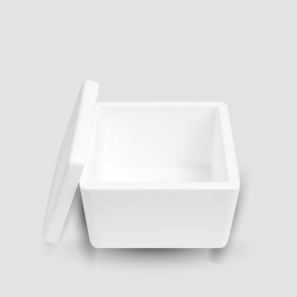 Kit Caixas de isopor termica pequena 250g medicamento insulina — imagem 2 de 2
