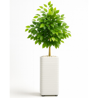 Planta Artificial Kit Decoração Enfeite Sala Escritório Com Vaso em Oferta na Shopee