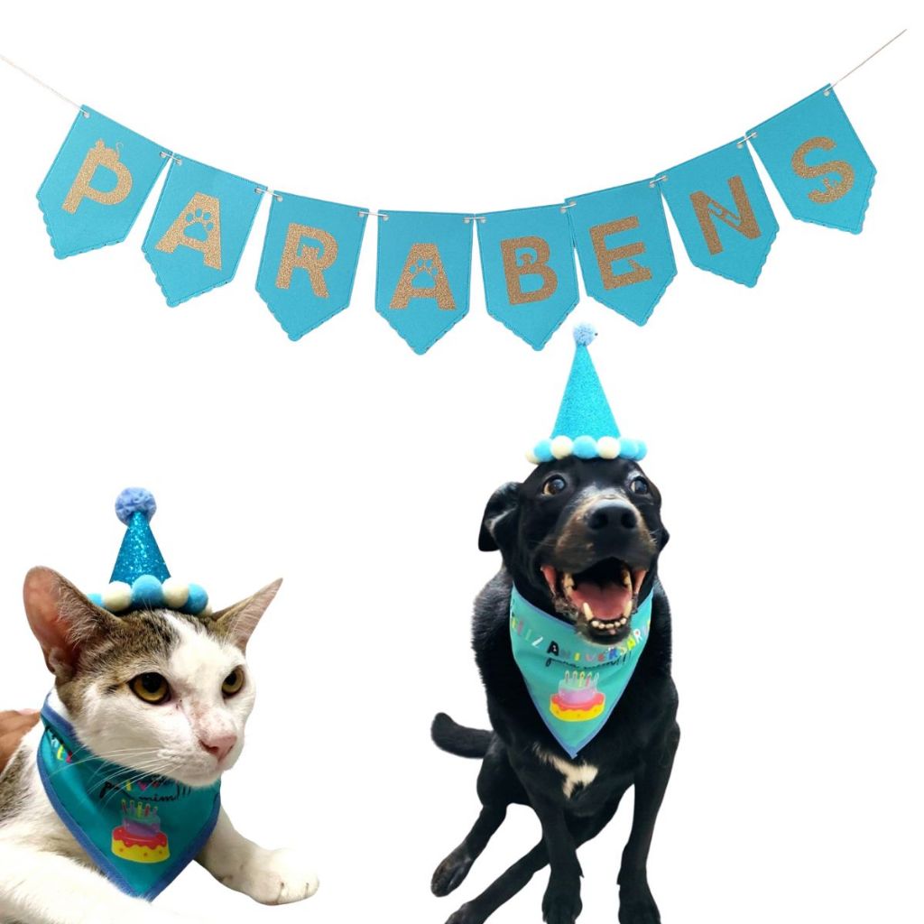 Kit Festa Aniversário Pet Cachorro Gato c/ Chapéu e Bandana + Faixa Parabéns para Fotos - 3 Tamanhos em Oferta na Shopee