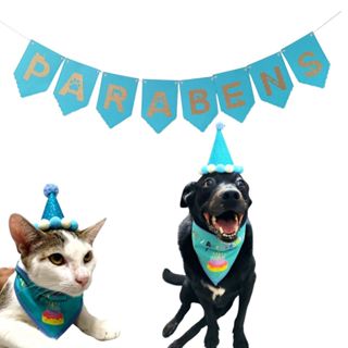 Kit Festa Aniversário Pet Cachorro Gato c/ Chapéu e Bandana + Faixa Parabéns para Fotos - 3 Tamanhos em Oferta na Shopee